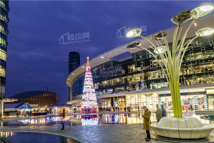 碧桂园西部中心