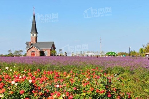 碧桂园桃李江山配套图