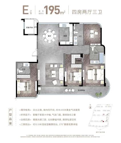 E户型195平