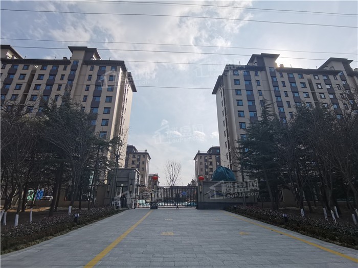 浞河九号_潍坊浞河九号房价_楼盘怎么样-潍坊楼盘网