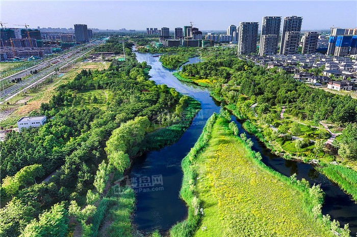 浞河九号