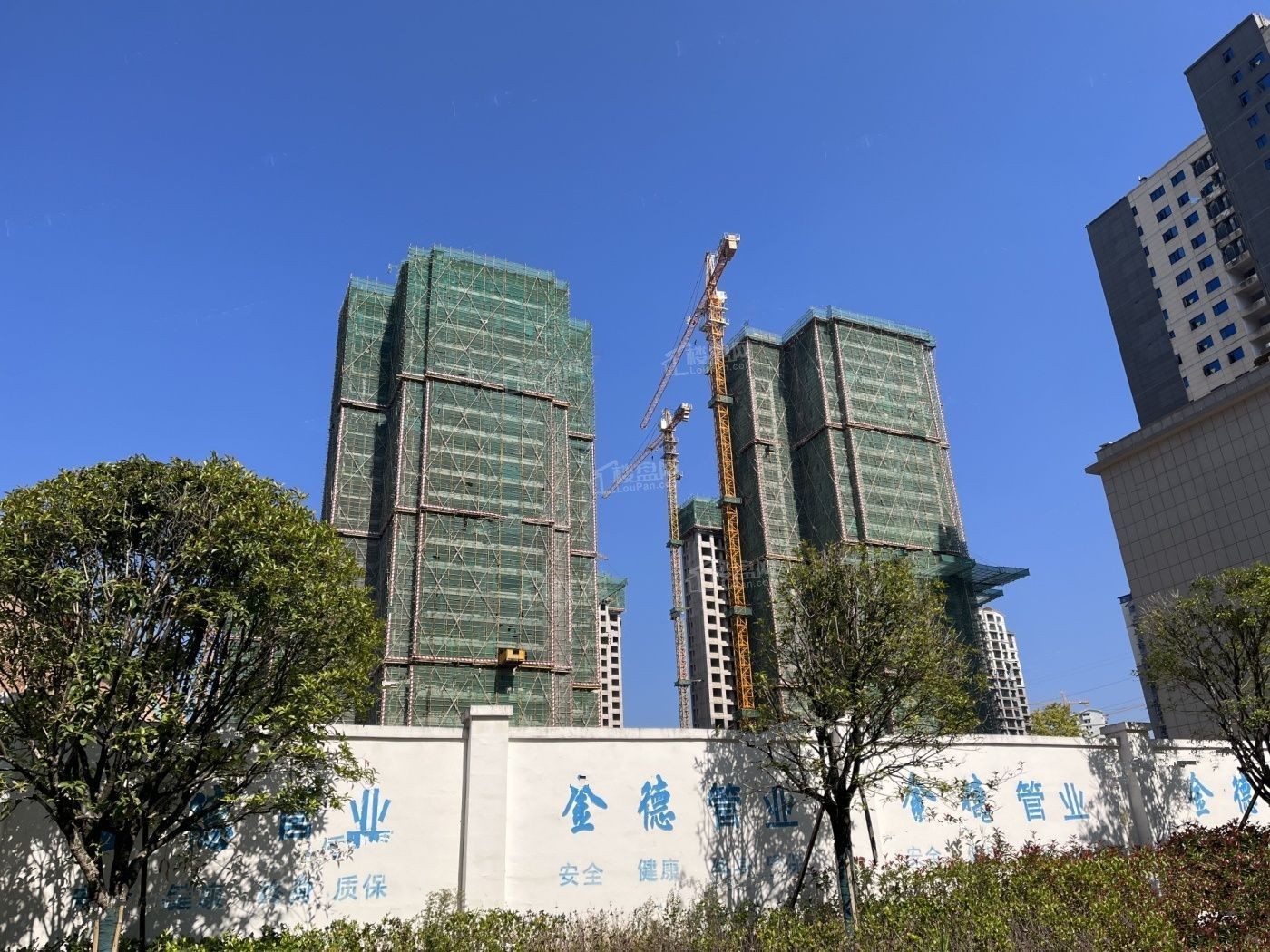 飞洋·学府蘭郡