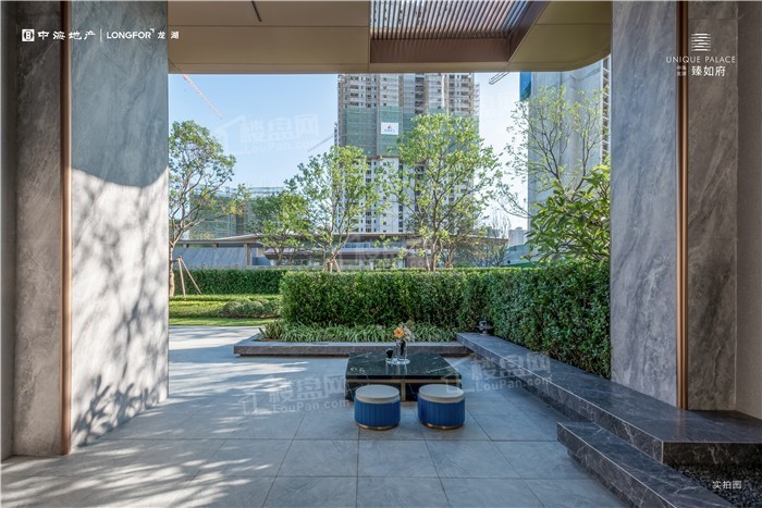 中海龙湖臻如府配套图