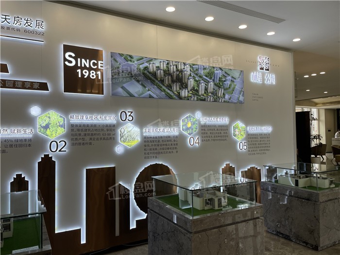 天房林里公园实景图