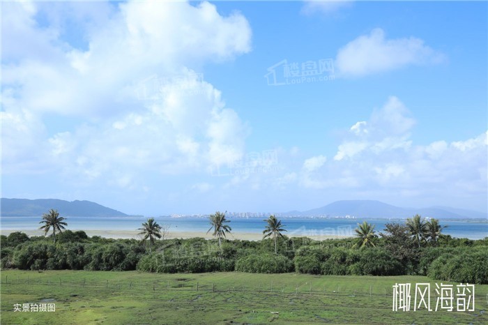 龙光天境海岸配套图