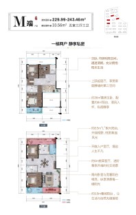 M户型 五房三厅三卫 229.99-243.46㎡