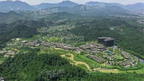 绿城安吉桃花源_安吉绿城安吉桃花源房价_楼盘怎么样-安吉楼盘网