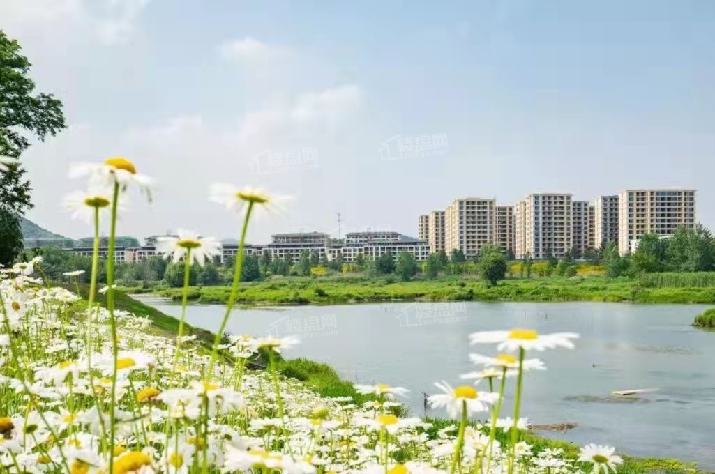 安吉绿城柳岸晓风效果图_实景图_样板间-安吉楼盘网
