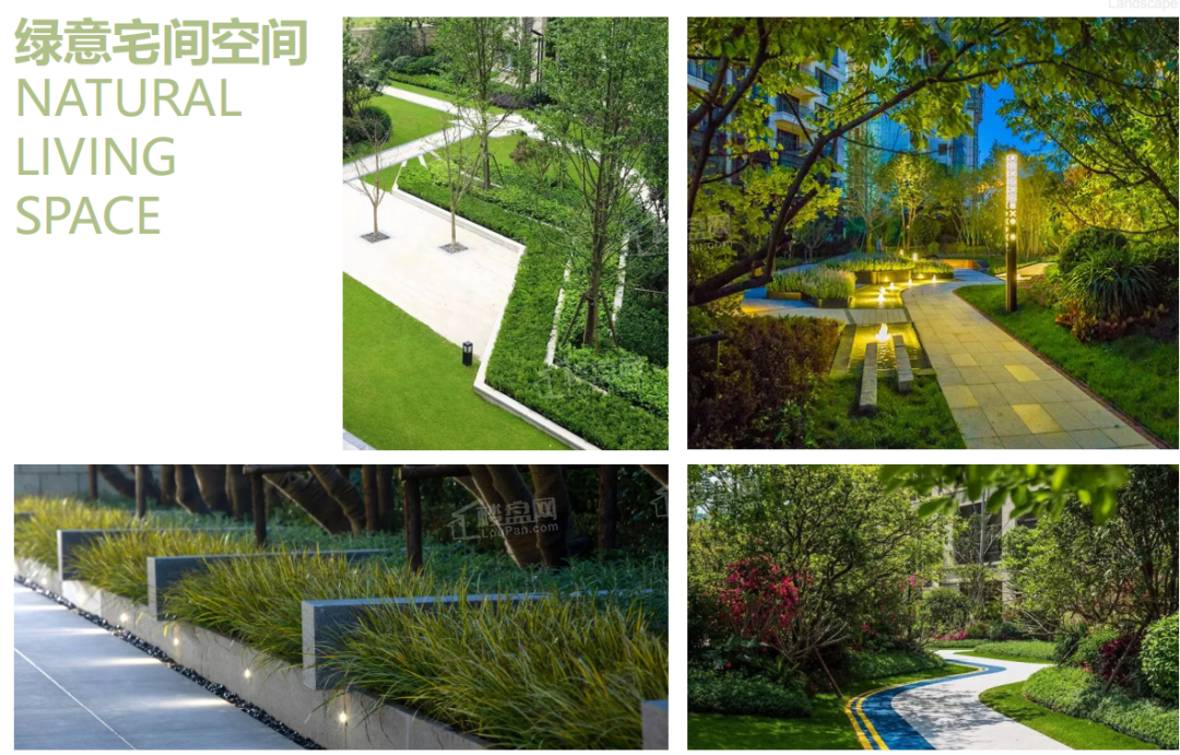 买房必看12月房产龙游云锦苑、金茂国际哪个值得买?