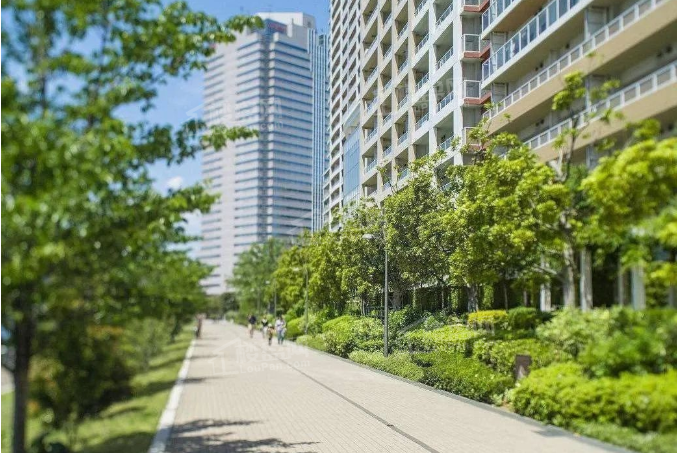 买房必看12月新盘新城学府、风华雅居哪个有