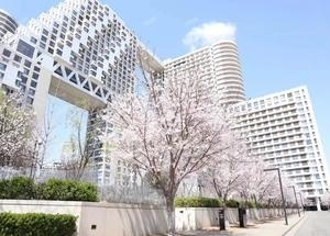 秦皇岛海碧台高清图