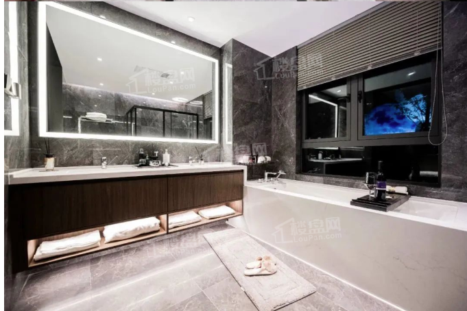 万科松湖天地样板间