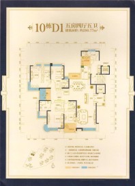 林邑星湖湾10栋D1户型