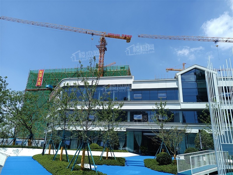 泰鑫玺园实景图