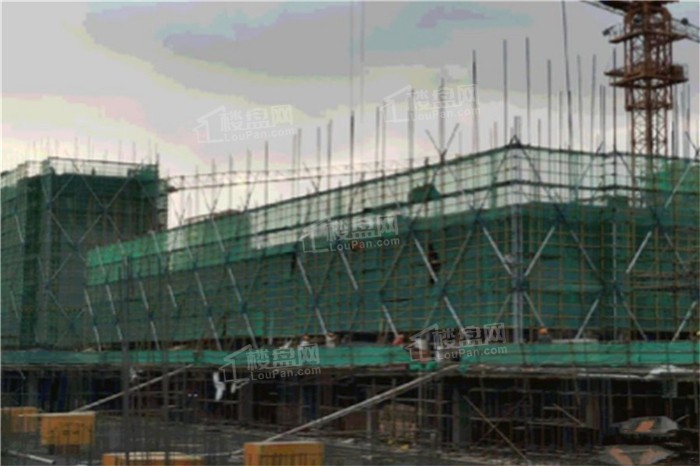 好房看这里！金科世茂玉澜府开发商品质如何？周