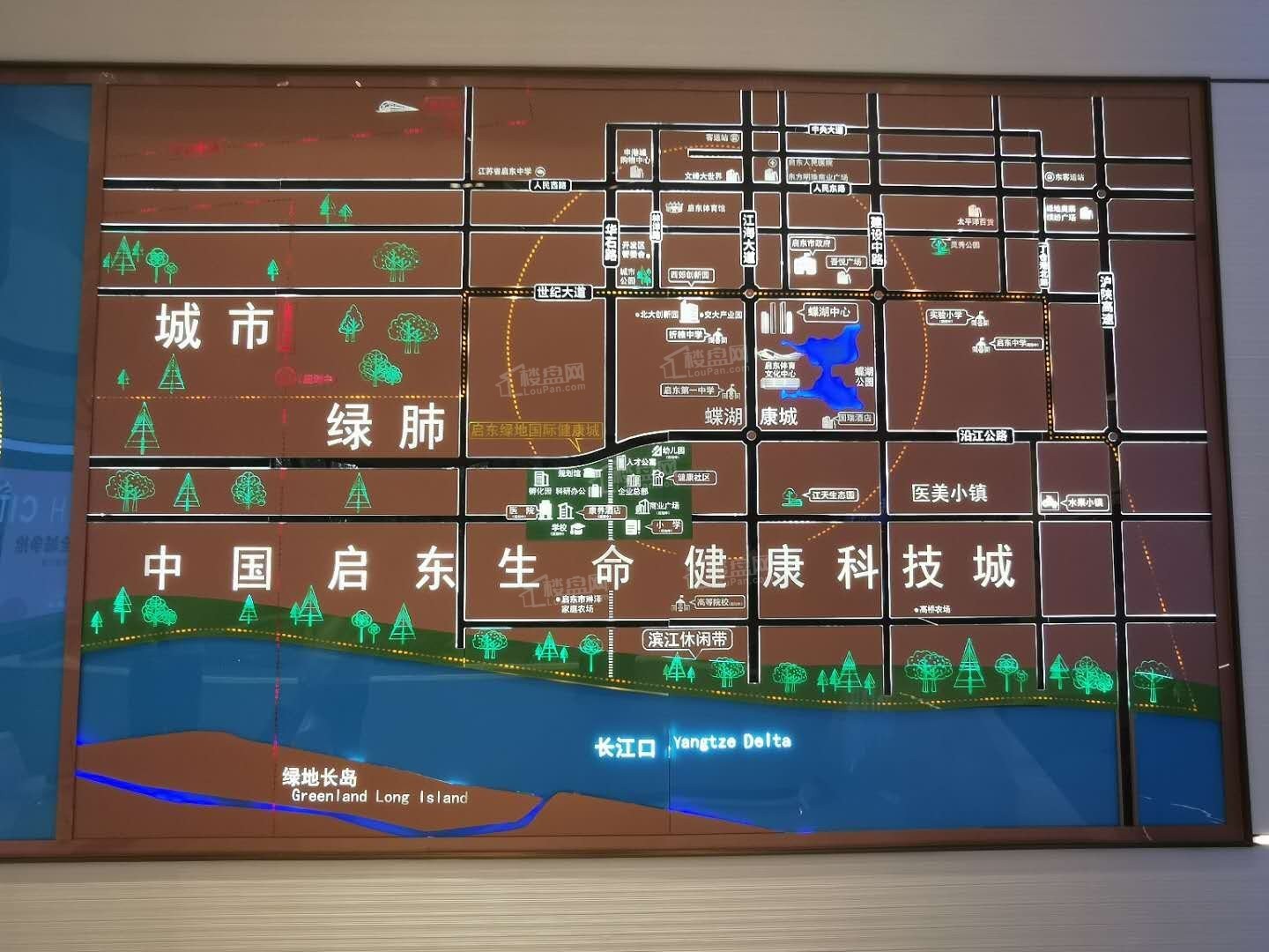 启东绿地国际健康城位置图