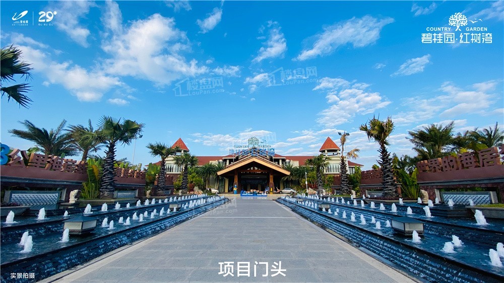 碧桂园·红树湾实景图