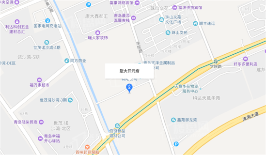 康大开元府位置图