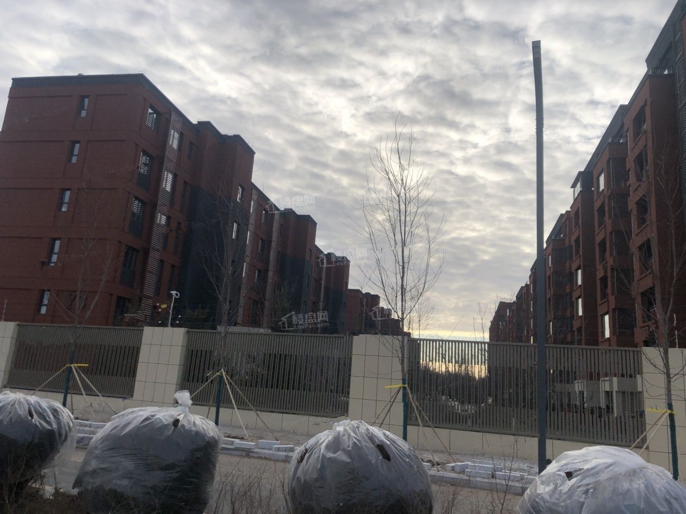 万科中德国际小镇实景图