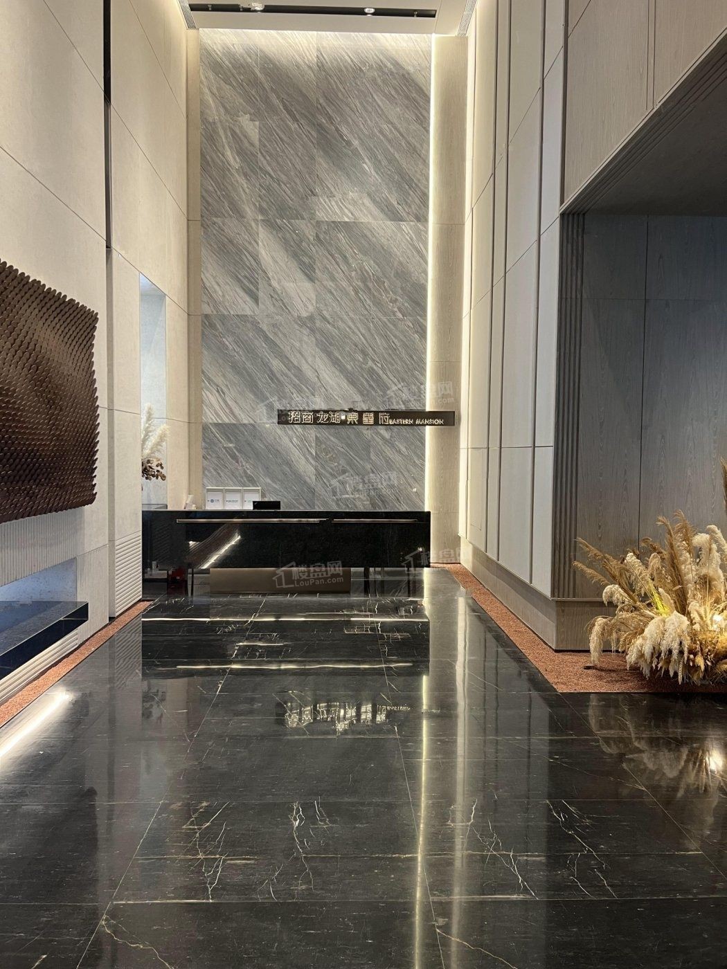 招商龙湖东望府实景图