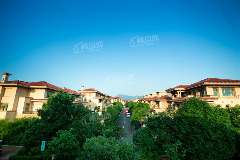 九里峰山.悦几的湖山