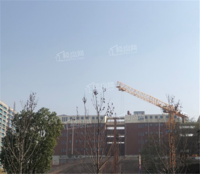 江悦和鸣配套图