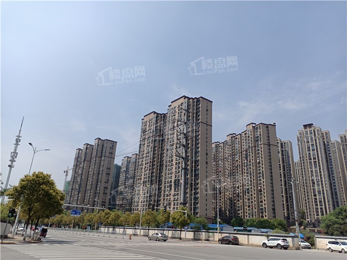 江悦和鸣配套图