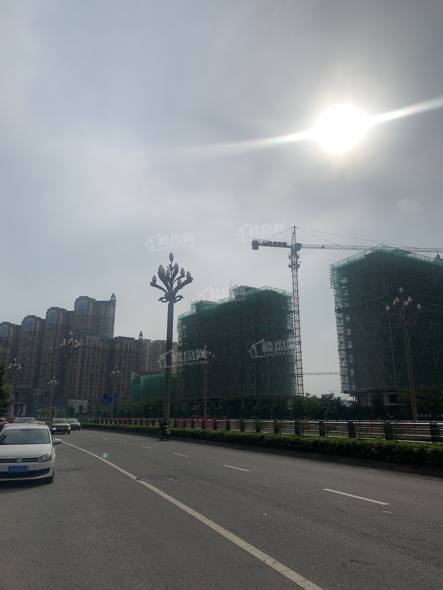 天府国际花园图片