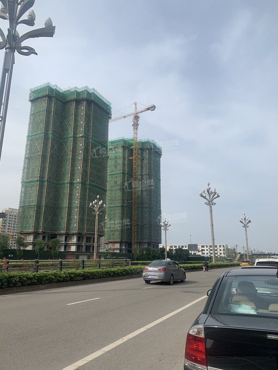 天府国际花园图片