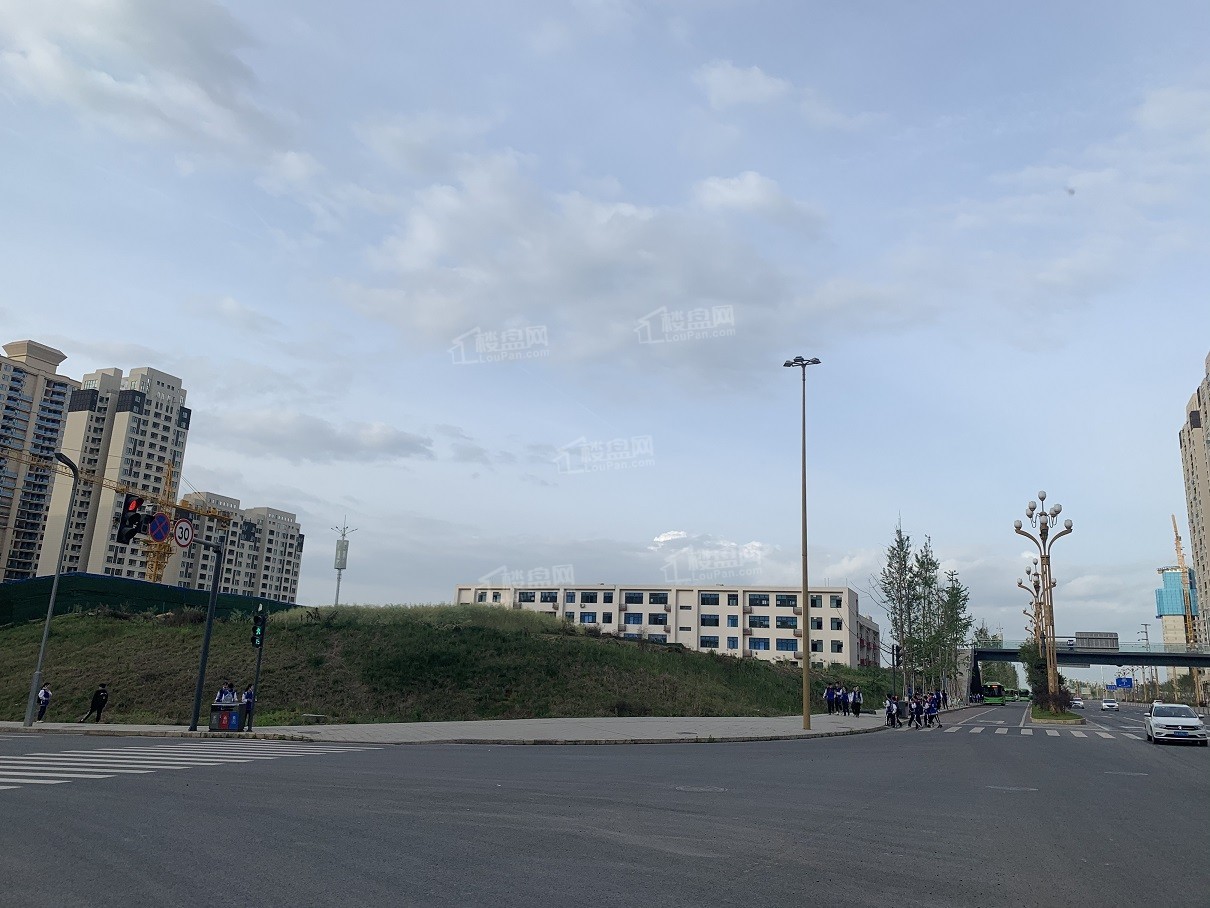 天府国际花园图片