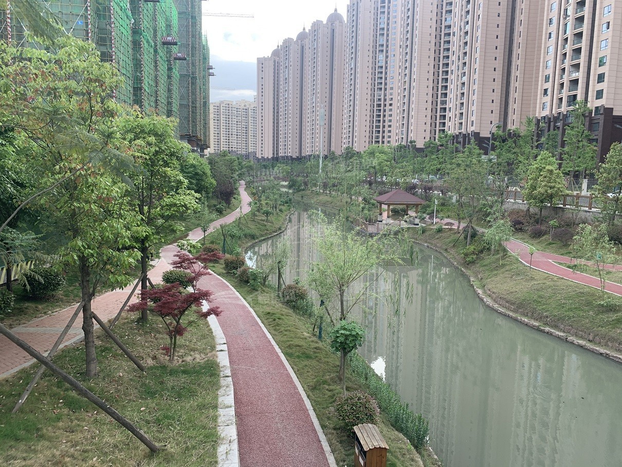 天府国际花园图片