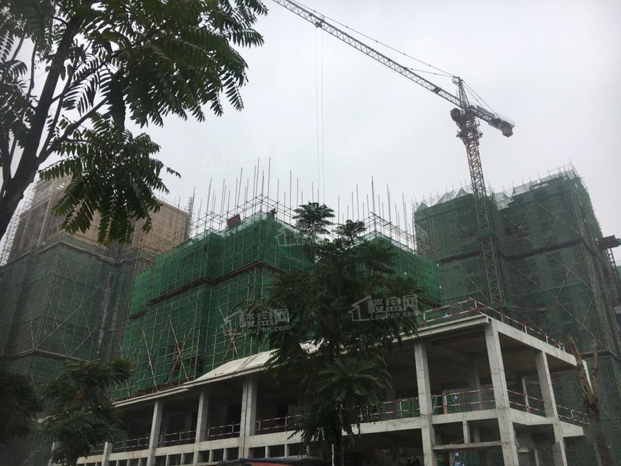 蒲江县买房攻略|新房源有哪些?在售价格多少?-成都楼盘网