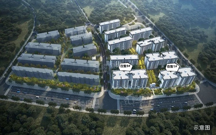 绿城春月锦庐效果图