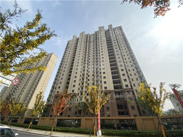 光明金山府_上海光明金山府房价_楼盘怎么样-上海楼盘网