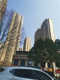 城投瀚城璞岸实景图