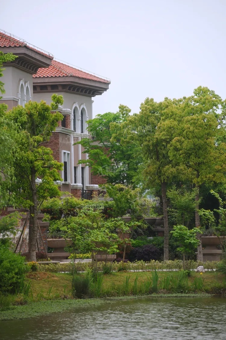 郦湖美墅实景图