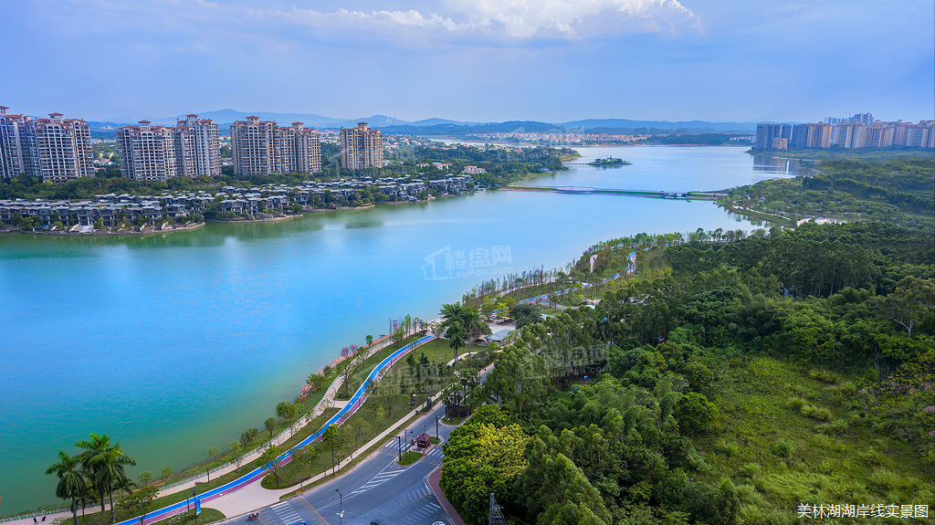 湖岸线实景图