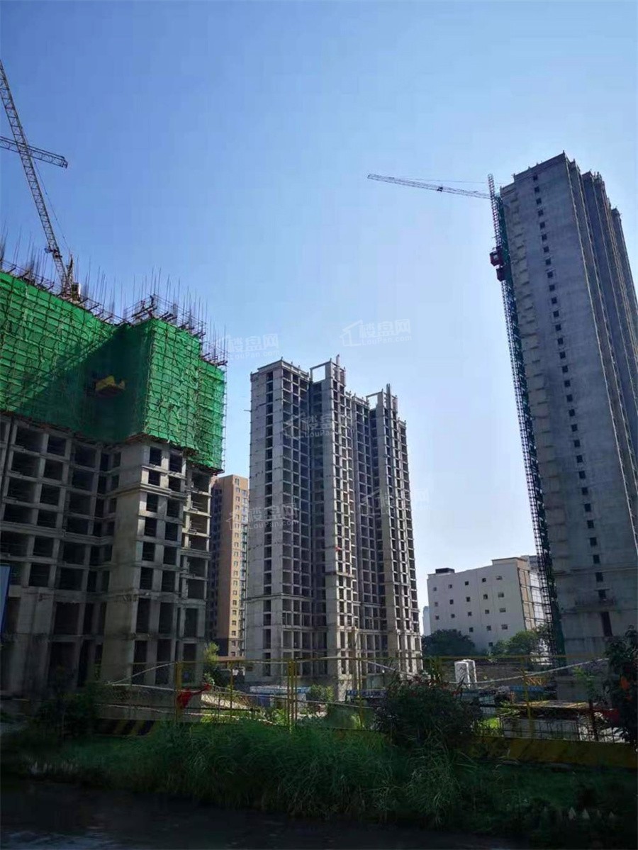 安阳新都·现代城效果图_实景图_样板间-安阳楼盘网