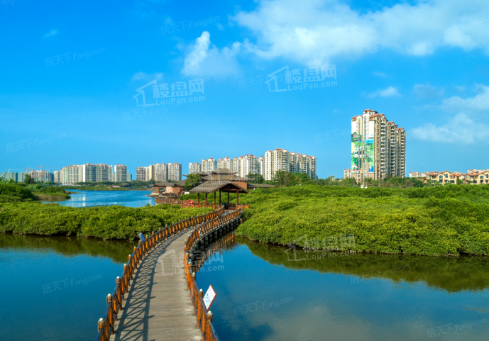 富力红树湾实景图