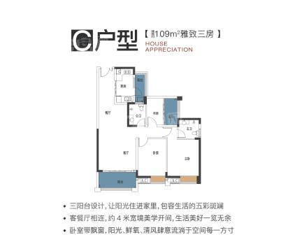 C户型109平