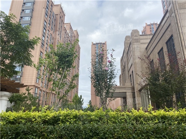 天麟龙鑫园车位数：暂无资料