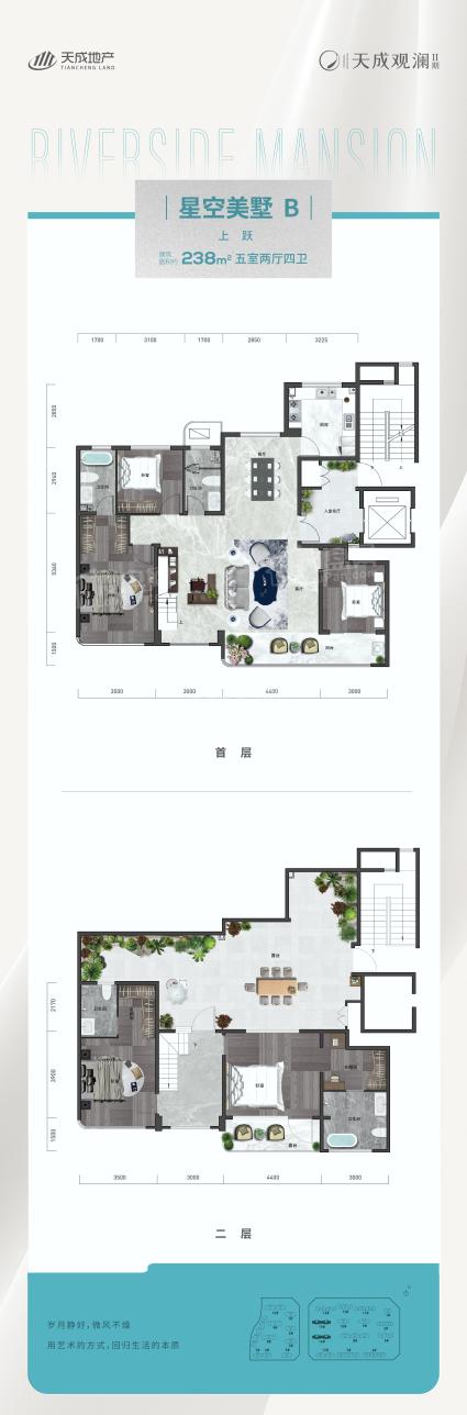 天成观澜二期238平米户型图