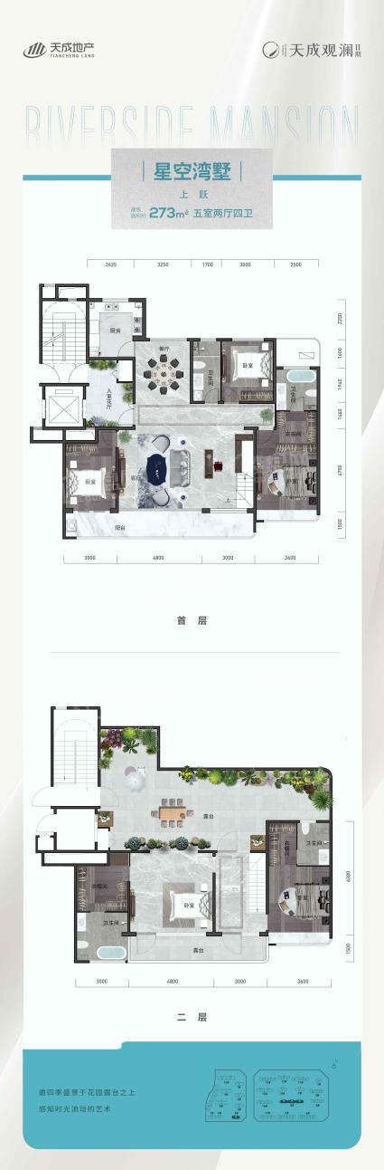 天成观澜二期户型图273平米