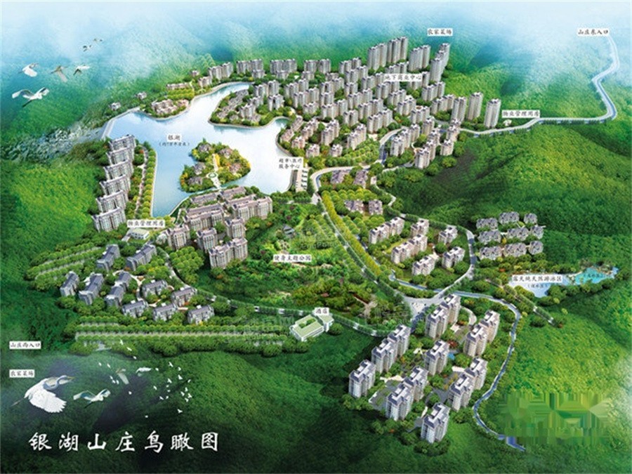 效果图