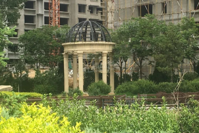 实景图