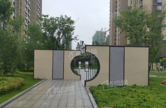 实景图