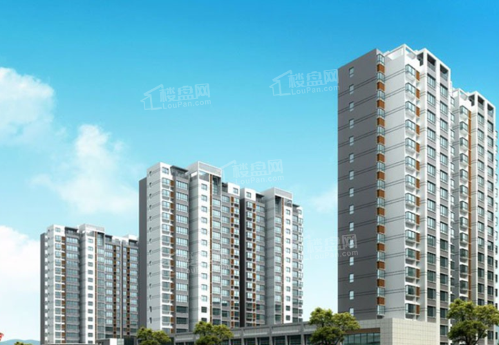 汇总！邹平人气盘有哪些？来这里找答案！