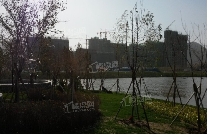 中城国际城实景图