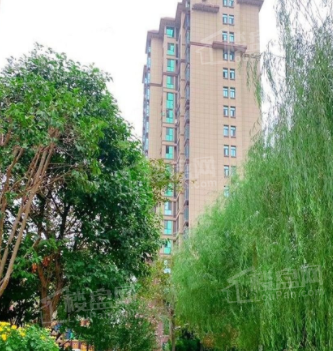 实景图