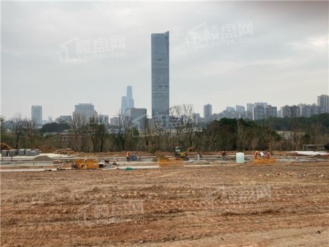 华润置地中心·悦府_东莞华润置地中心·悦府房价_楼盘怎么样-东莞楼盘网